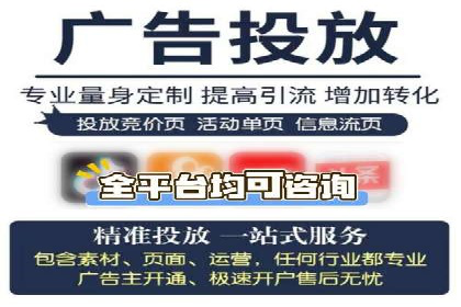 SEM搜索引擎优化策略解析与应用案例